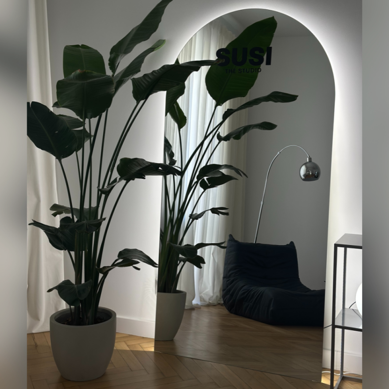 Miroir de salle de bain semi-ovale avec éclairage - FRANK LED