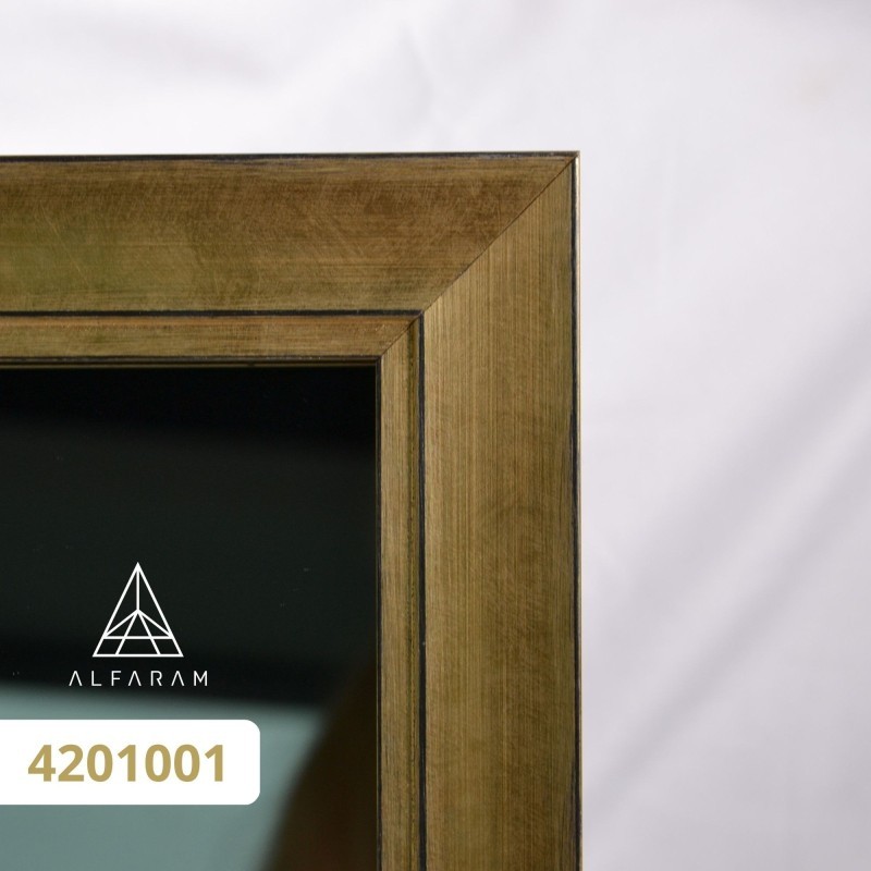 Miroir dans un cadre élégant et moderne - 4201 - couleur du cadre au choix