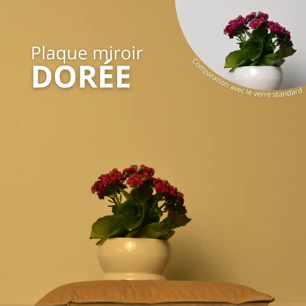 Plaque miroir Dorée