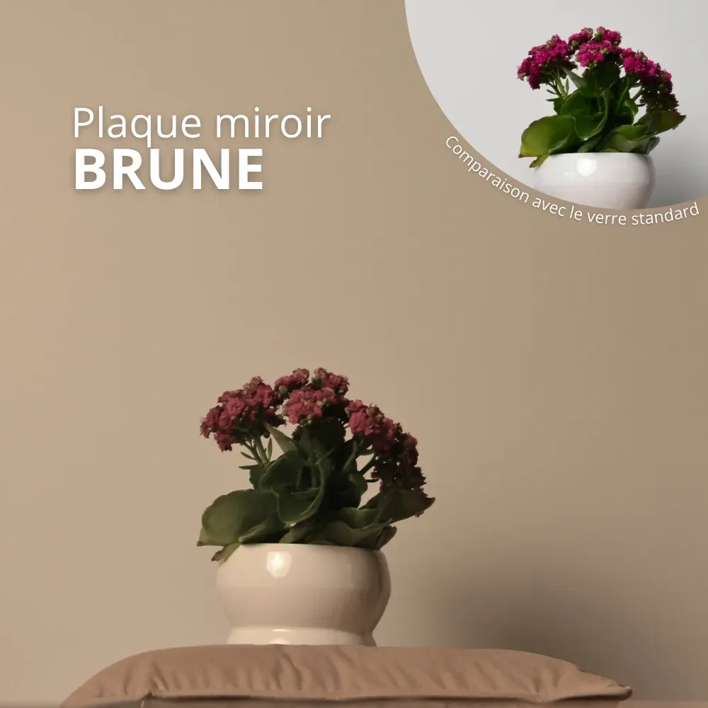 Plaque miroir Brune