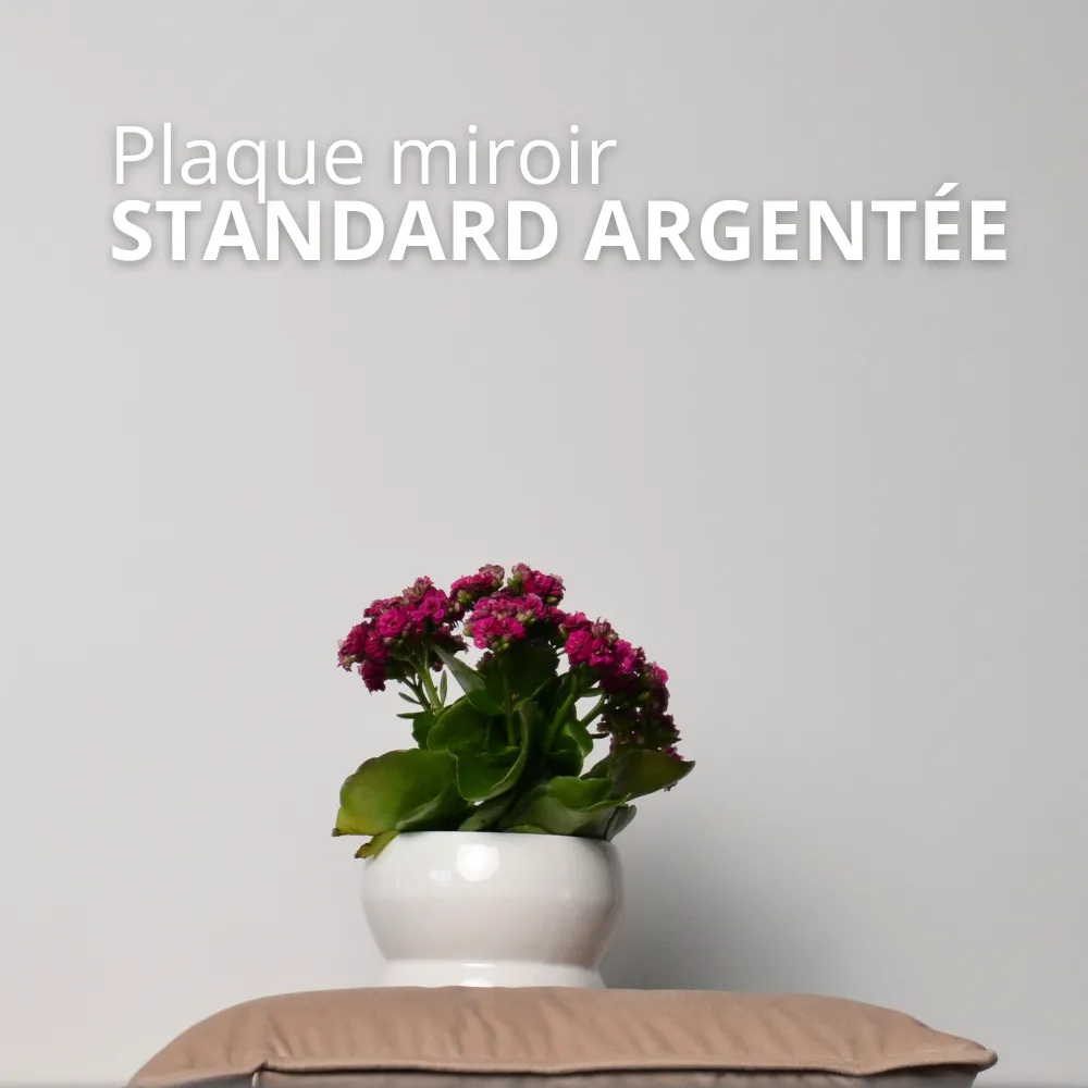 Standard Argentée