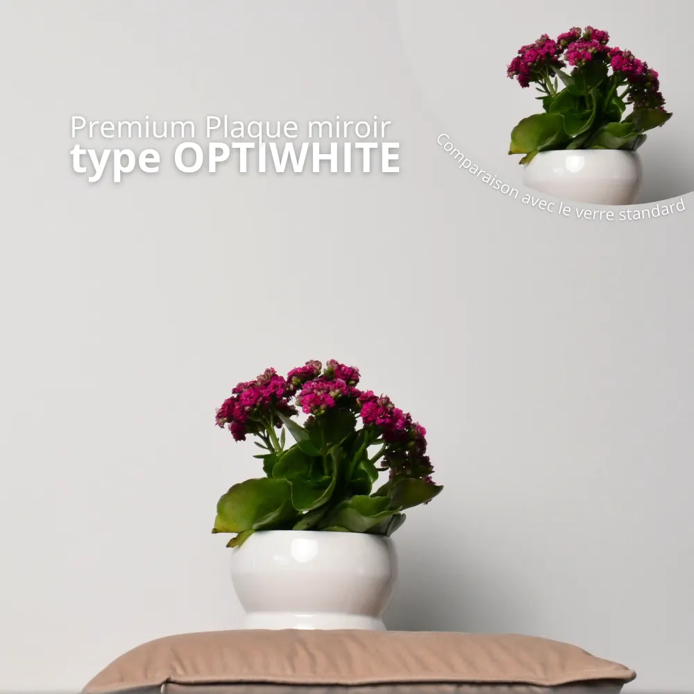 Type Optiwhite